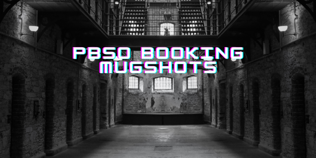 pbso booking mugshots